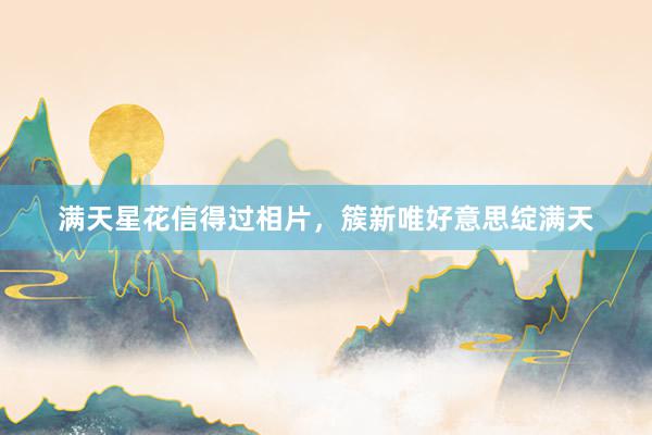 满天星花信得过相片，簇新唯好意思绽满天