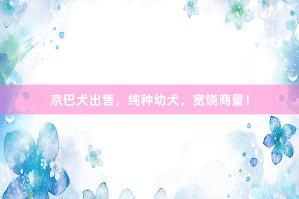 京巴犬出售，纯种幼犬，宽饶商量！